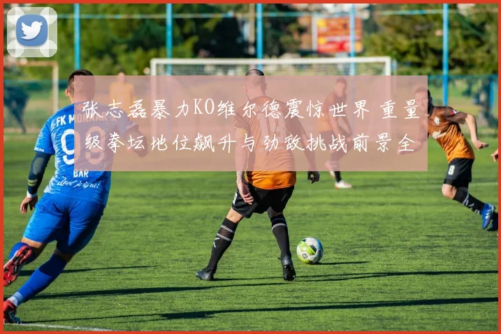 张志磊暴力KO维尔德震惊世界 重量级拳坛地位飙升与劲敌挑战前景全解读