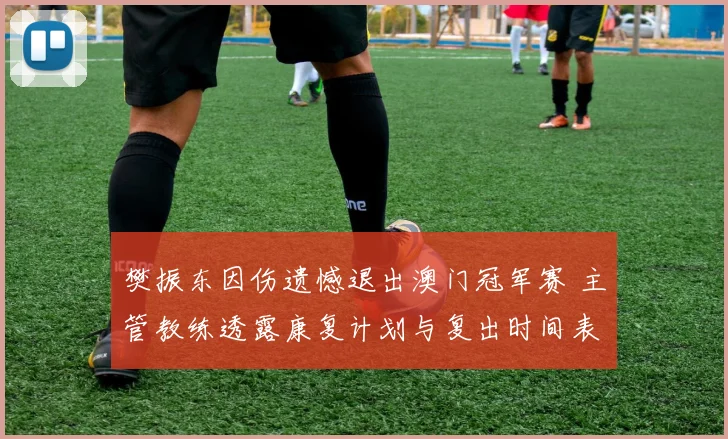 樊振东因伤遗憾退出澳门冠军赛 主管教练透露康复计划与复出时间表