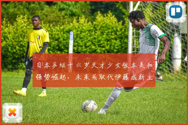 日本乒坛十六岁天才少女张本美和强势崛起，未来或取代伊藤成新主力