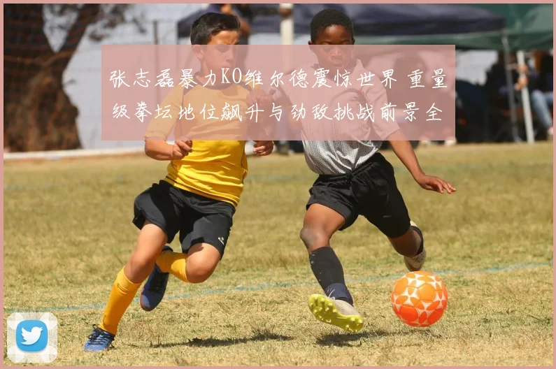 张志磊暴力KO维尔德震惊世界 重量级拳坛地位飙升与劲敌挑战前景全解读