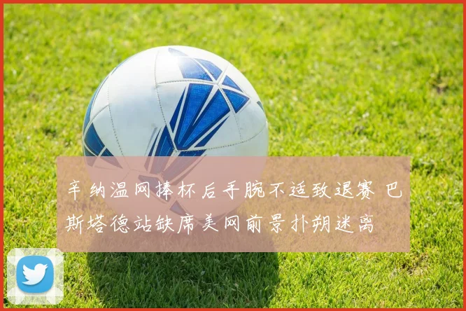 辛纳温网捧杯后手腕不适致退赛 巴斯塔德站缺席美网前景扑朔迷离